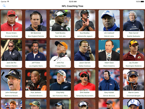 Pro Football Coaching Tree - náhled