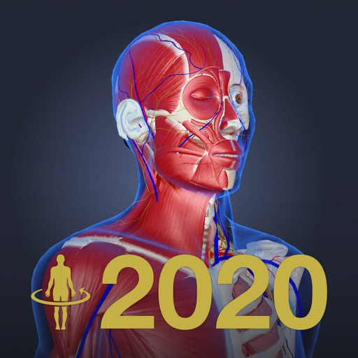 3D anatomy teamLabBody2020