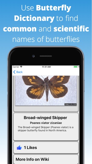 Butterfly Dictionary(圖1)-速報App