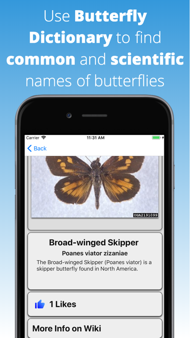 How to cancel & delete Butterfly Dictionary from iphone & ipad 1