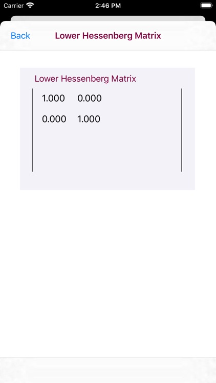 Hessenberg Matrix screenshot-8