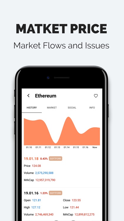 Crypto Issue screenshot-5