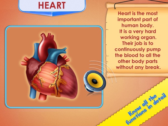 Human Body Parts Play to Learn screenshot 3