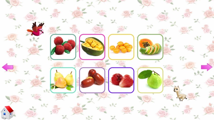 Learning Fruit and Vegetable