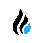 Blockchain Query
