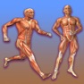 Get Learn Muscular System for iOS, iPhone, iPad Aso Report
