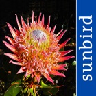 Top 42 Reference Apps Like Wildflowers of South Africa, flower identification - Best Alternatives