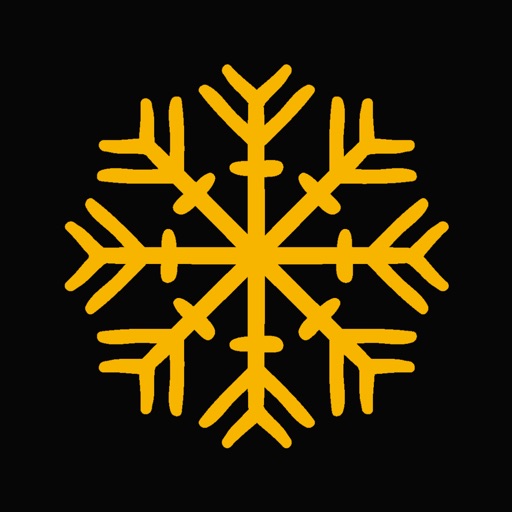 Snowflake Puzzle