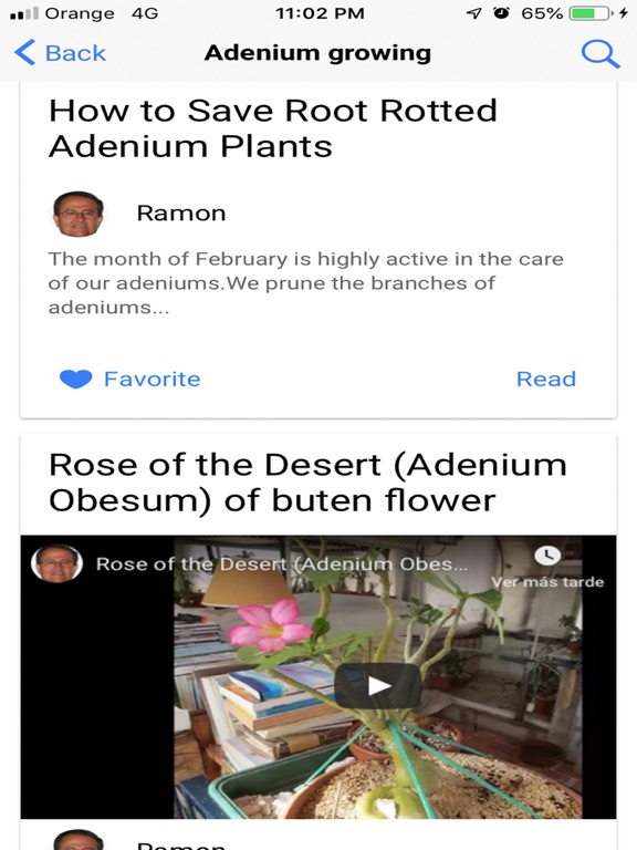 My Adeniums - Adenium care screenshot 3