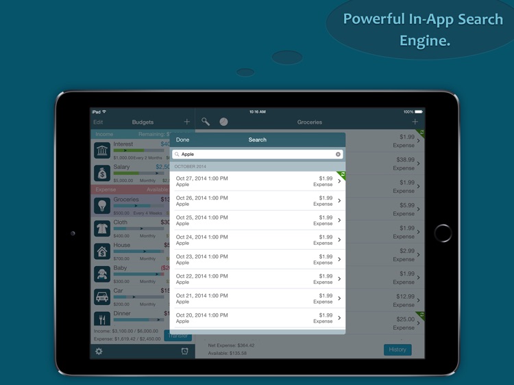 Best Budget Pro for iPad screenshot-4
