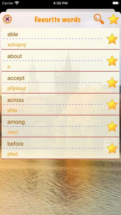 Knowledge of Czech language screenshot-5