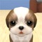 Icon Petting Pets 3D
