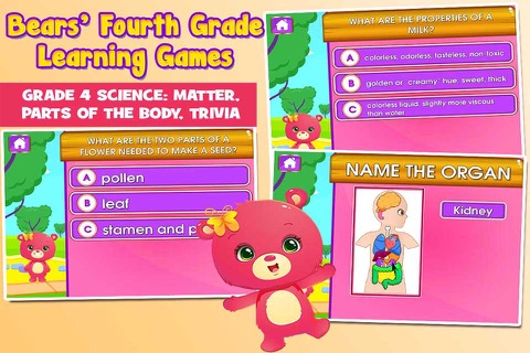 Bears 4th Grade School Games screenshot 4