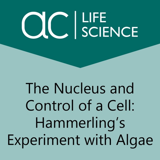 Nucleus and Control of a Cell icon