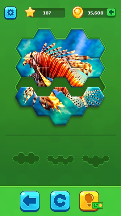 Hexa Jigsaw Puzzle ® screenshot 3