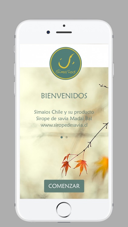 Sirope de Savia Madal Bal