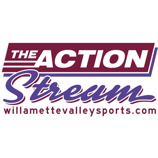 The Action Stream