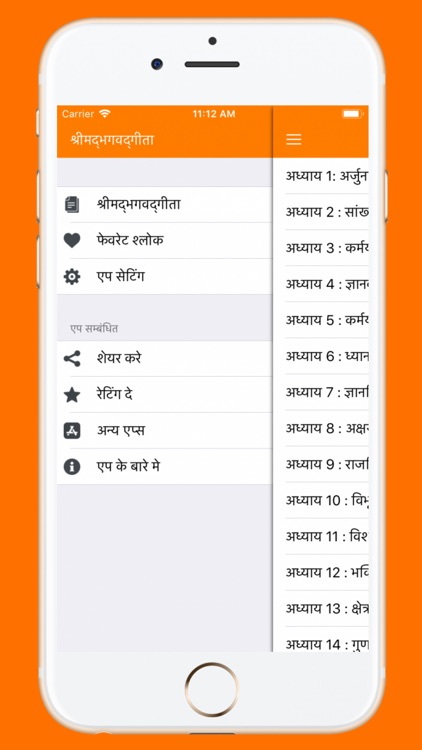 Bhagavad Gita in Hindi App screenshot-4