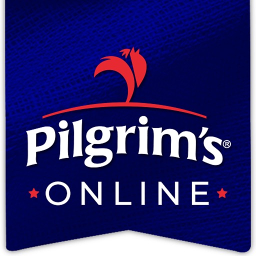 Pilgrims Online