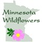 The Minnesota Wildflowers Info
