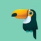 Tell Toucan is your local search engine