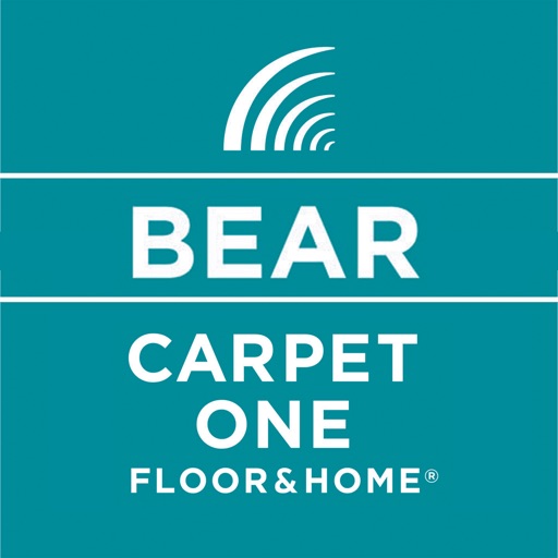 Bear Carpet One