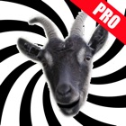 Top 18 Entertainment Apps Like Screaming Goat - Best Alternatives