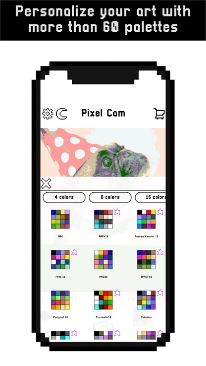 Pixel cam - Make pixel art