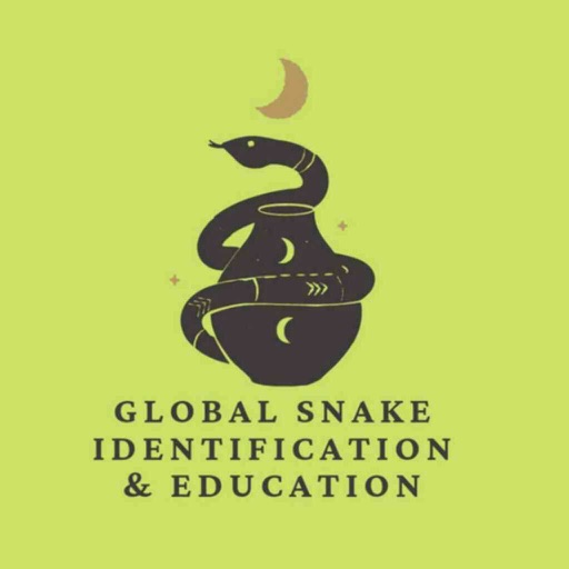 GSIE Snake Education