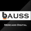 Jonnathan Guambe - Bauss Mercado Digital  artwork