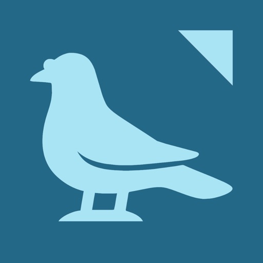 YourPigeon