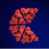 Co-Crit Business Safety Review