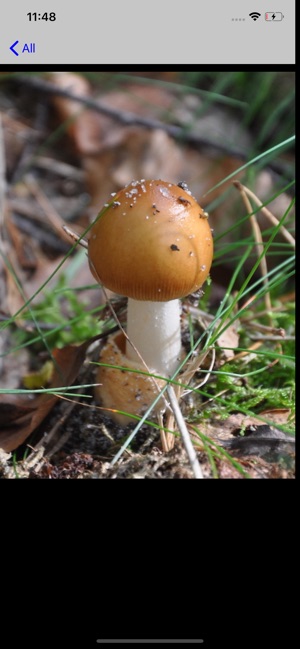 Fungi EU(圖5)-速報App