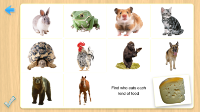 2nd Preschool Prep Flashcards screenshot 2