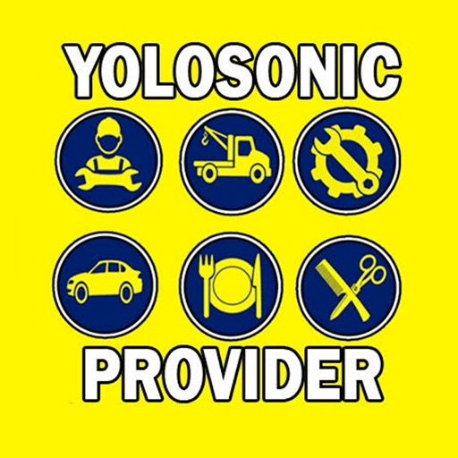 YoloSonic for Driver/Providers