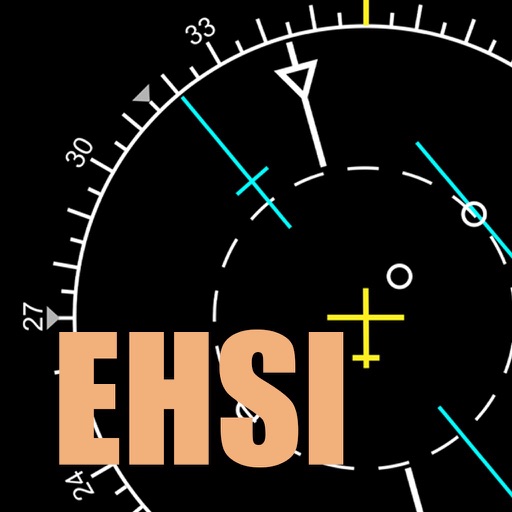 EHSI trainer