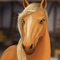 Horse Hotel makes you the owner of your own horse ranch