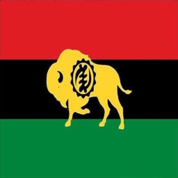 Black Buffalo Mobile