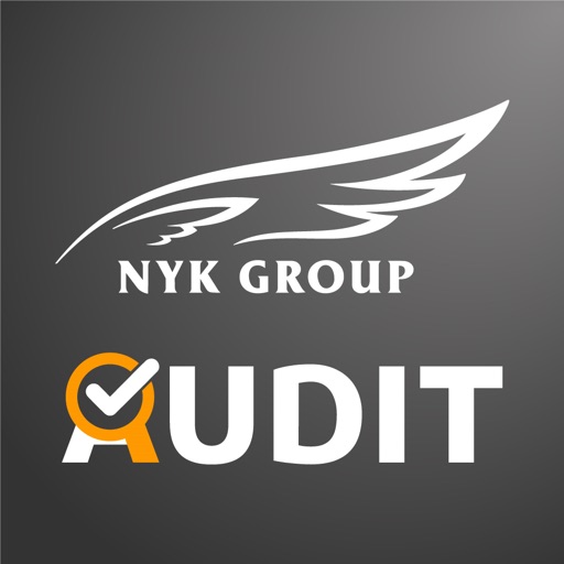 NiBiKi AUDIT