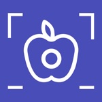 Instafood - Photos  Calories
