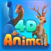 4D Animal