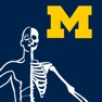 Get MSK Anatomy - SecondLook for iOS, iPhone, iPad Aso Report