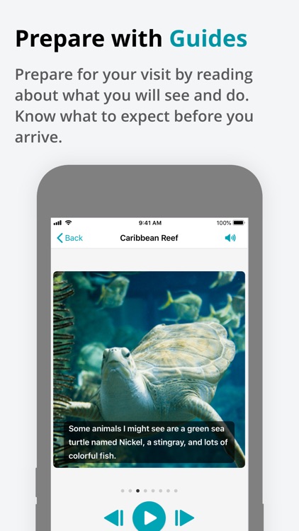 SensoryFriendly Shedd Aquarium