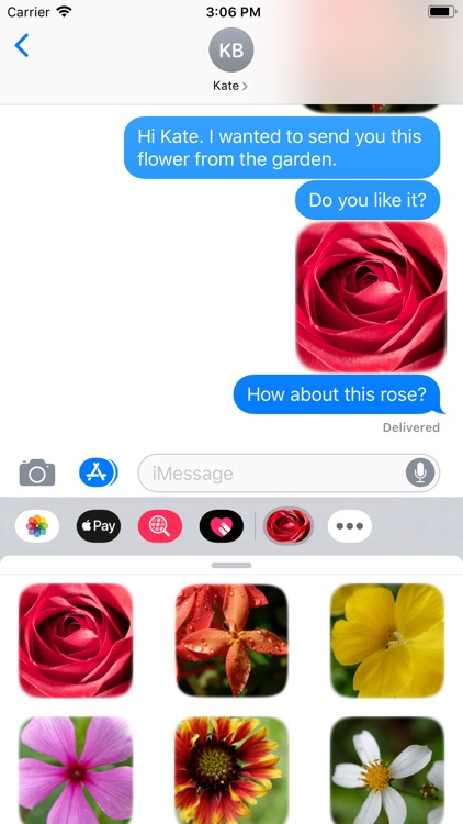 Flower Real
