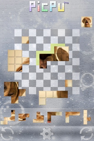 PicPu - Dog Picture Puzzle screenshot 3