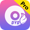 Any DVD 作成