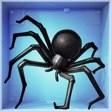 Activities of Spider Pet - Creepy Widow