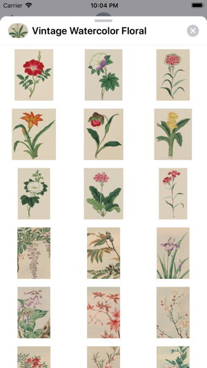 Floral Vintage Watercolors