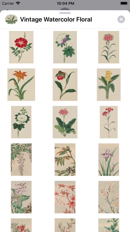 Floral Vintage Watercolors