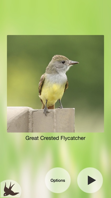 Chirp! Bird Songs & Calls USA screenshot-8